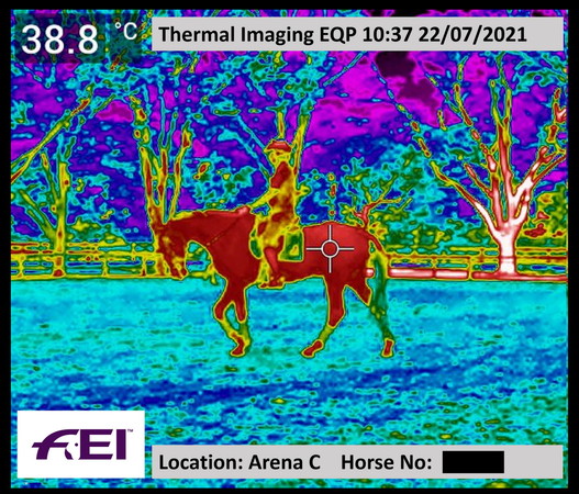 Image thermique d'un cheval aux Jeux Olympiques de Tokyo 2020 | © FEI