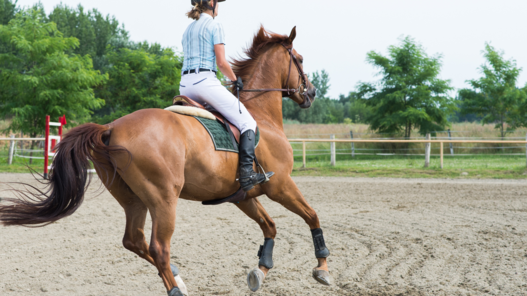 Das Pferd brauch vor dem Sprung eine gewisse Kopffreiheit, um den Sprung visuell richtig einschätzen zu können. | © Canva