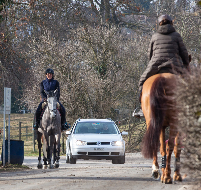 (Photo: Swiss Equestrian/Sandra Mumprecht)