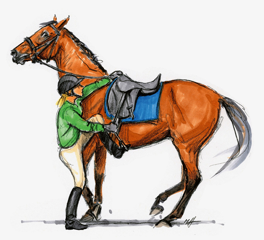 Auch ein Pferd, das beim Aufsteigen nicht stillsteht, leidet möglicherweise unter einem Sattel, den es als unangenehm oder schmerzhaft empfindet.