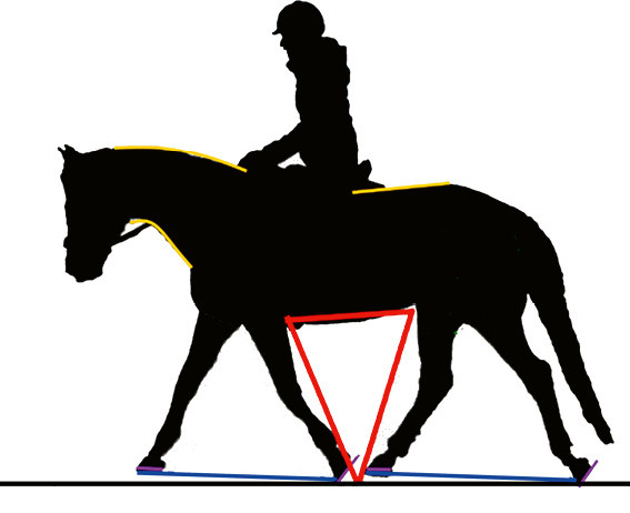 Fig. 3: Lorsque le cheval est en équilibre, les pressions sont homogènes sous les panneaux de la selle (adaptée). (Photo: Simone Ravenel Kohler)