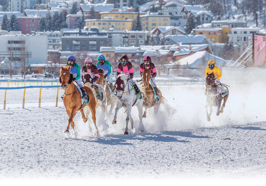 Des chevaux de course arabes dans la neige, cela n’existe qu’en Suisse.  C’est pourquoi des représentants d’intérêts des Emirats arabes assistent régulièrement  aux courses de chevaux arabes annuelles dans le cadre du White Turf de Saint-Moritz. Photo: turffotos.ch