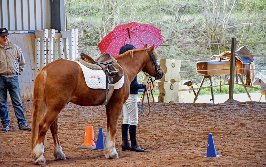 Ein neuer Teil der Grundausbildung Pferd beinhaltet auch Bodenschule, zum Beispiel die Übung mit dem Regenschirm - für mehr Sicherheit. Foto: A. Schneider