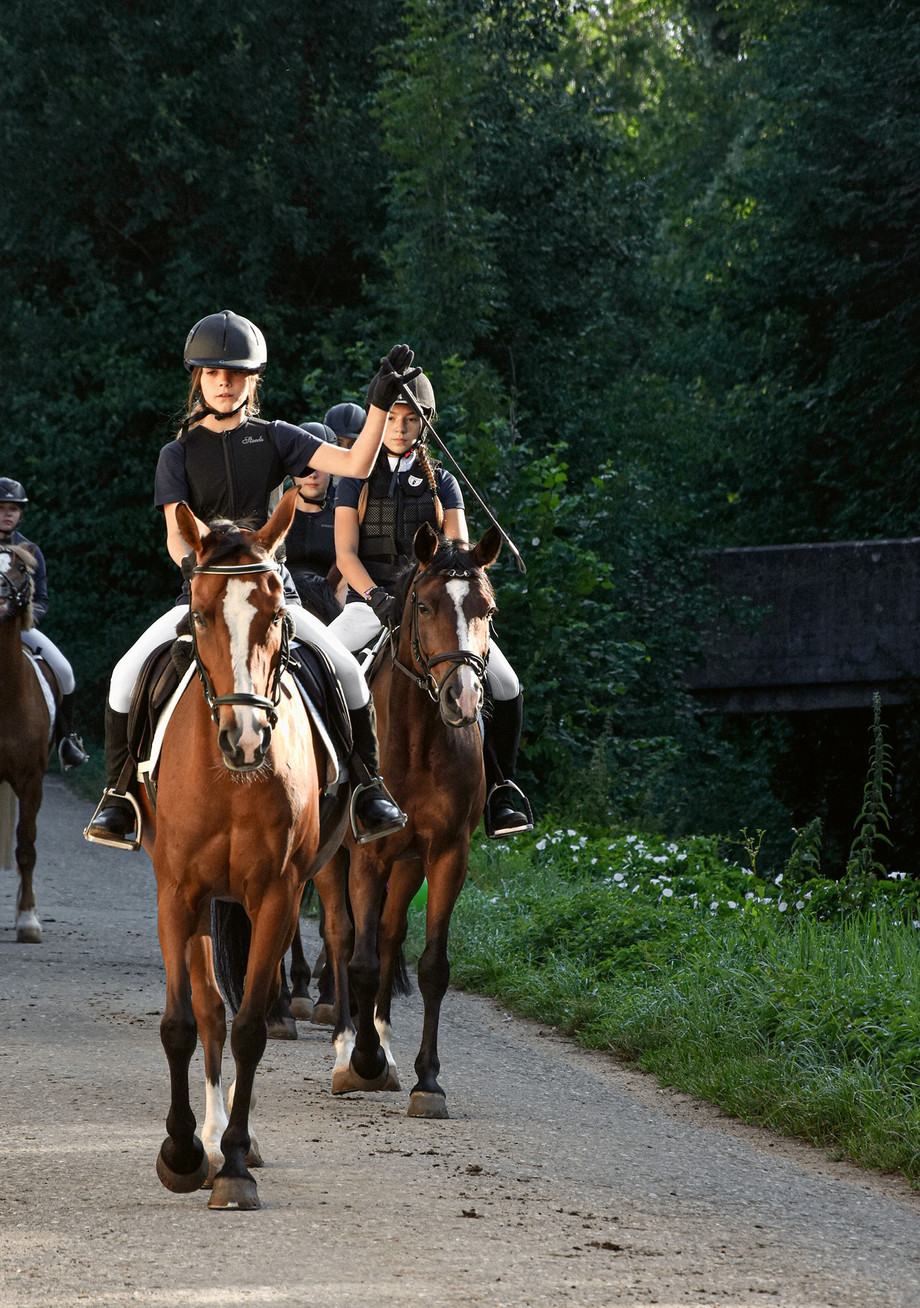 Eine fundierte Ausbildung im Umgang mit dem Pferd fördert die Sicherheit - beispielsweise auch im Strassenverkehr. Foto: A. Schneider