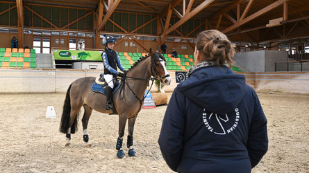 Swiss Equestrian Talents Scouting Day: Ein Tag im Zeichen des Nachwuchses