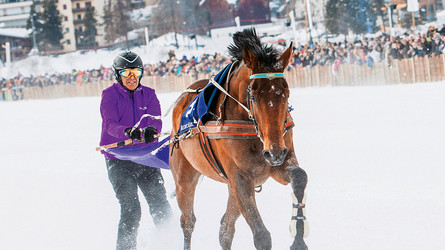 Les chevaux de skikjöring