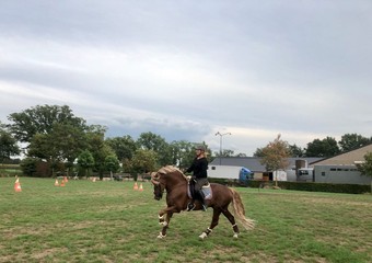 Chadow et Daniela lors de l’entraînement d’équitation 